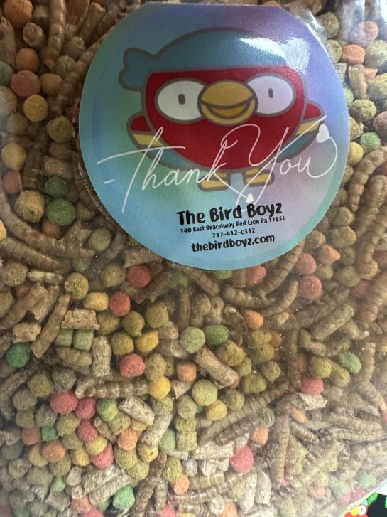 The Bird Boyz Mynah Food Mix